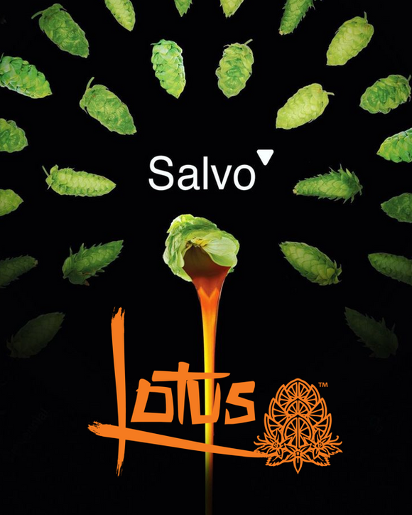 Extracto de lupulo SALVO Lotus - 1Kg