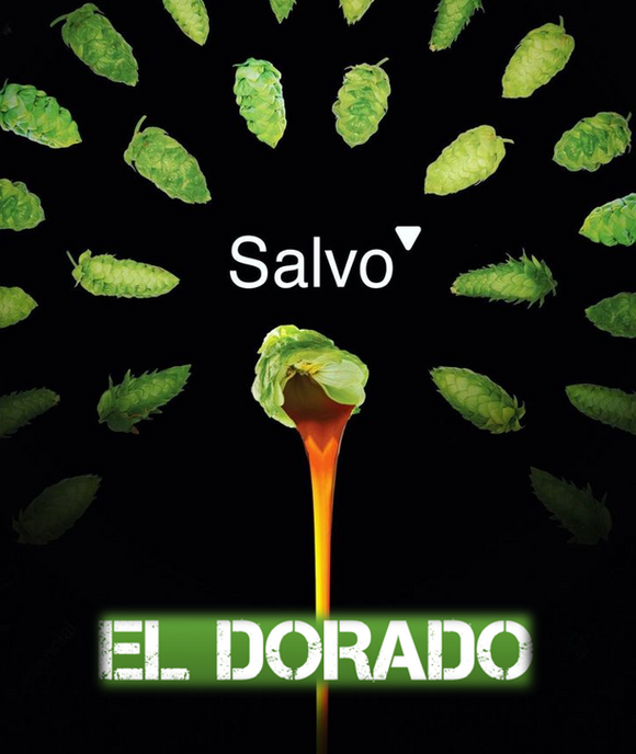 Extracto de lupulo SALVO El Dorado - 1Kg
