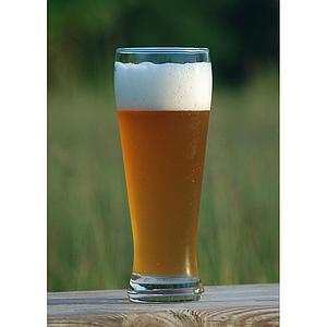 Kit de cerveza TicoBirra Weissbier (Extracto)
