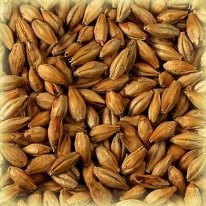 Malta Chateau Melano 80 EBC 1kg