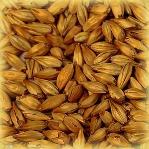 Malta Chateau Cara Gold 120 EBC bolsa 25 kg bags